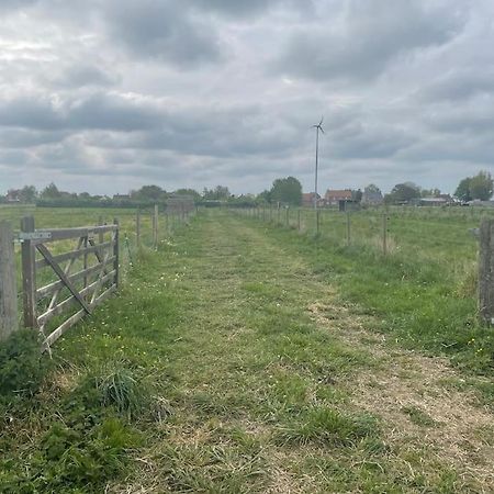Ivy Cottage Salters Lode Exterior photo