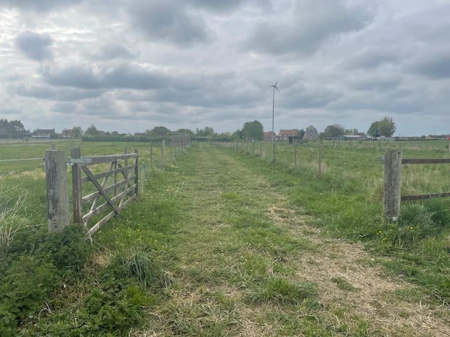 Ivy Cottage Salters Lode Exterior photo